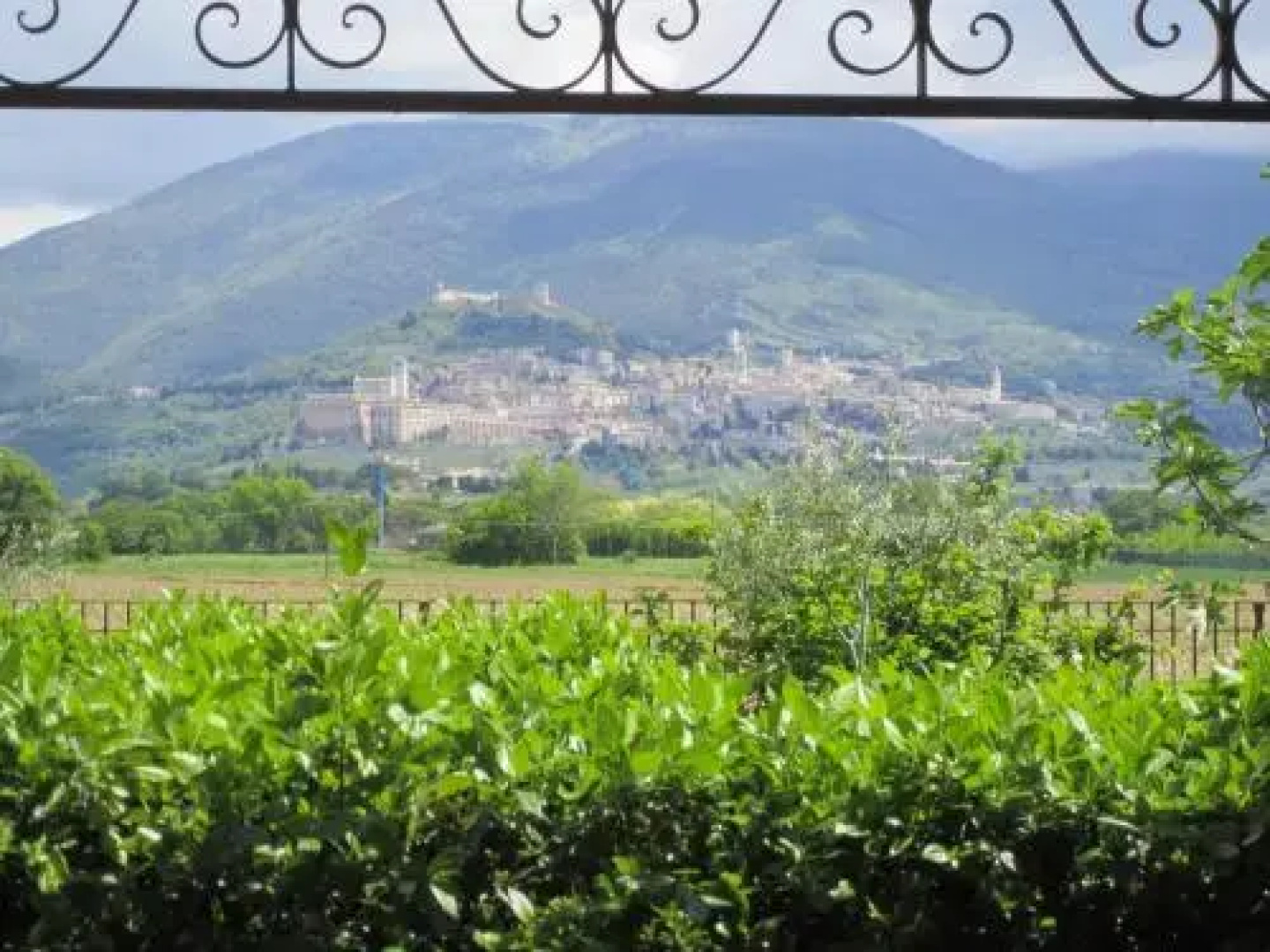 La Strada Di Francesco DAssisi