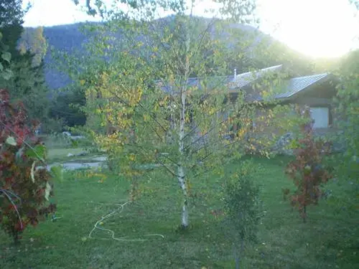 Cabaï¿½as Hueney