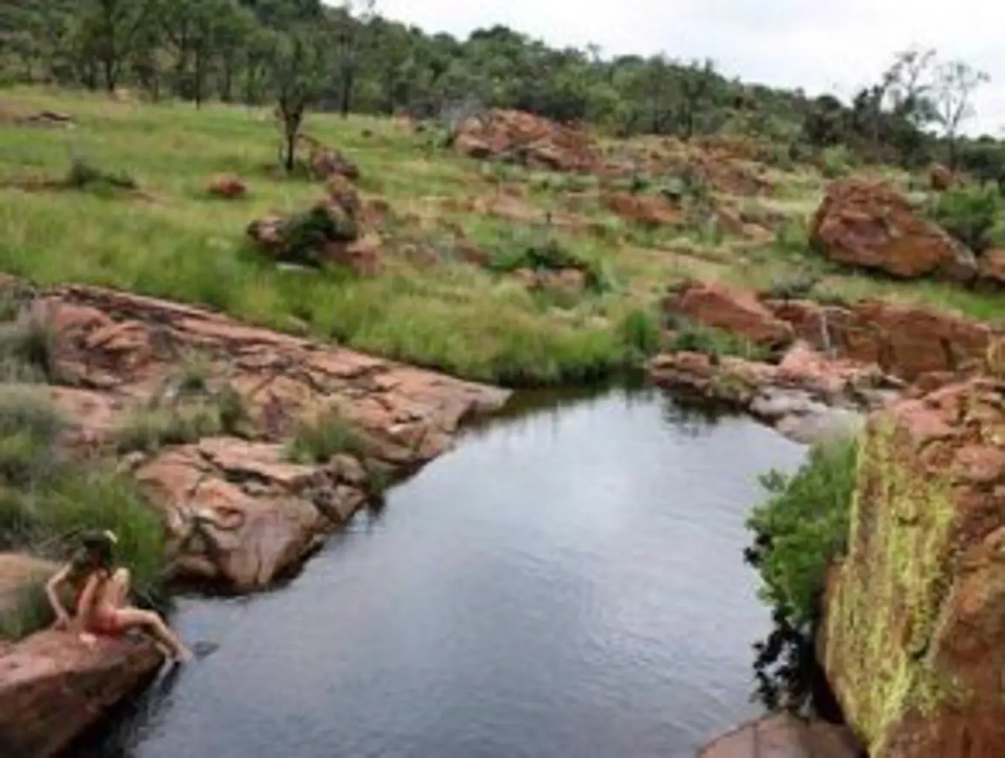 Bateleur Nature Reserve and Self Catering Game Lodge