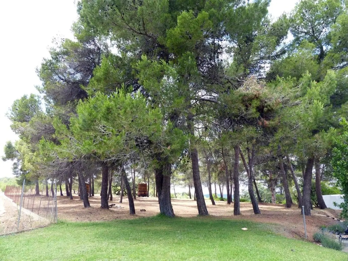 Finca Santa Elena