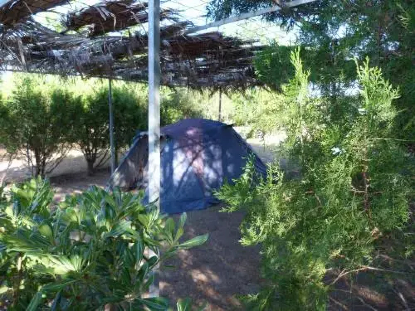 Oasis Village Camping Bungalows