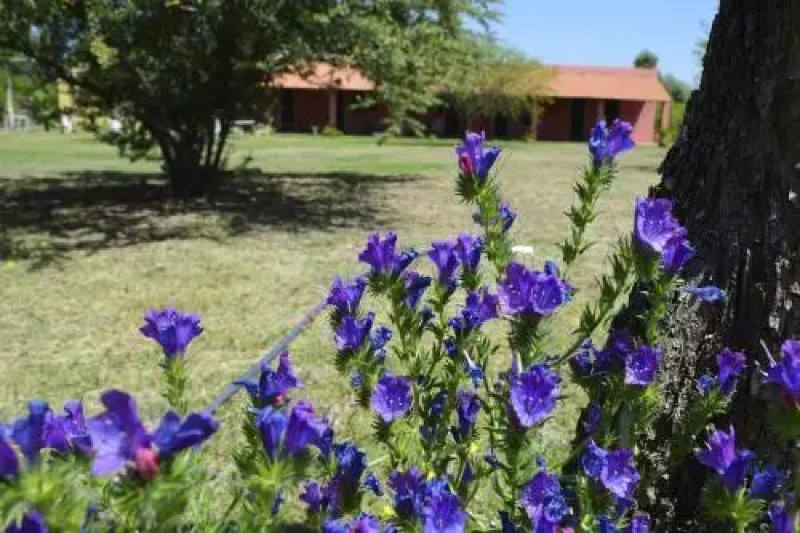 Posada Villapancha