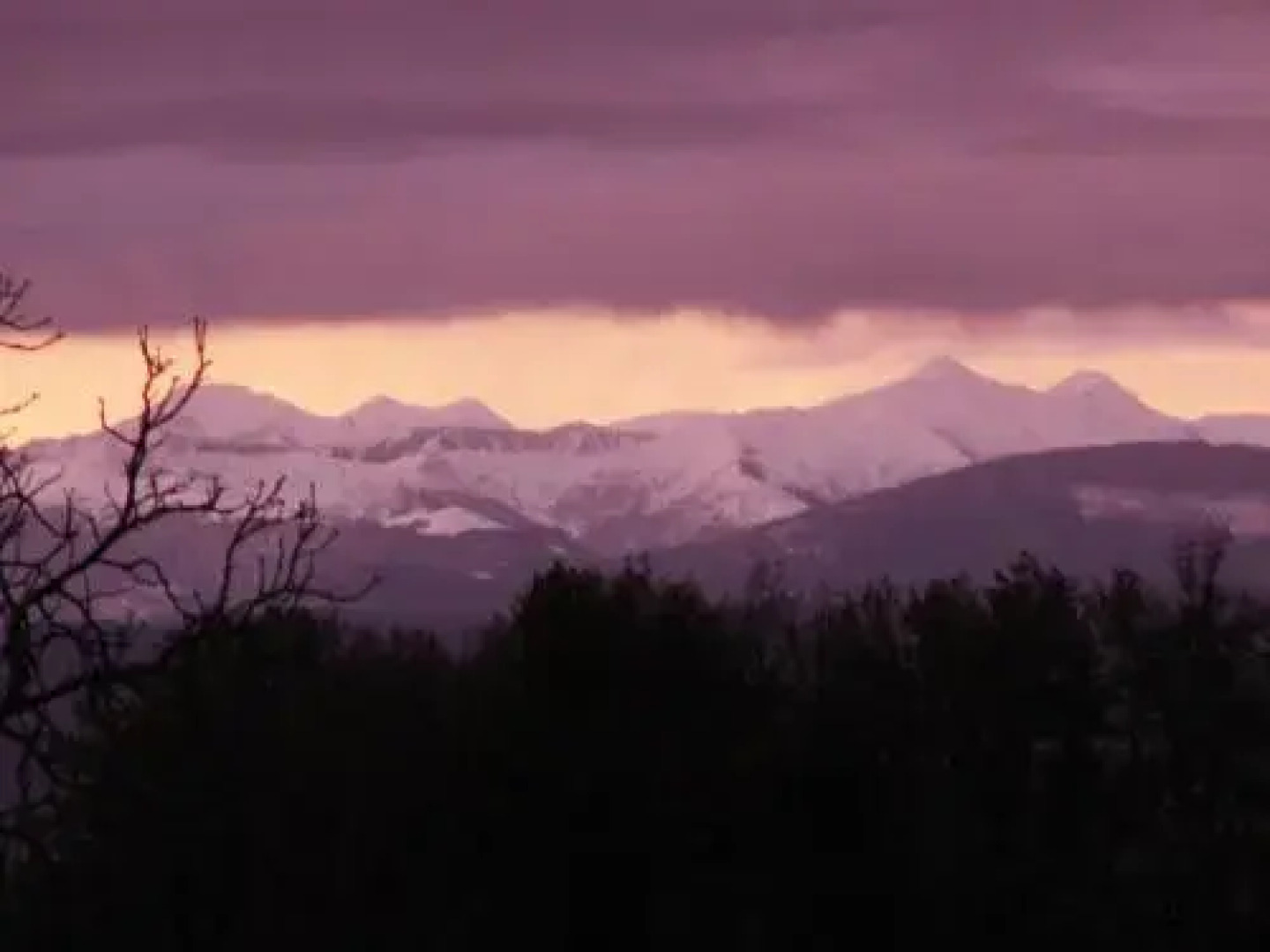 Chambre dHôtes Domaine de la Trille