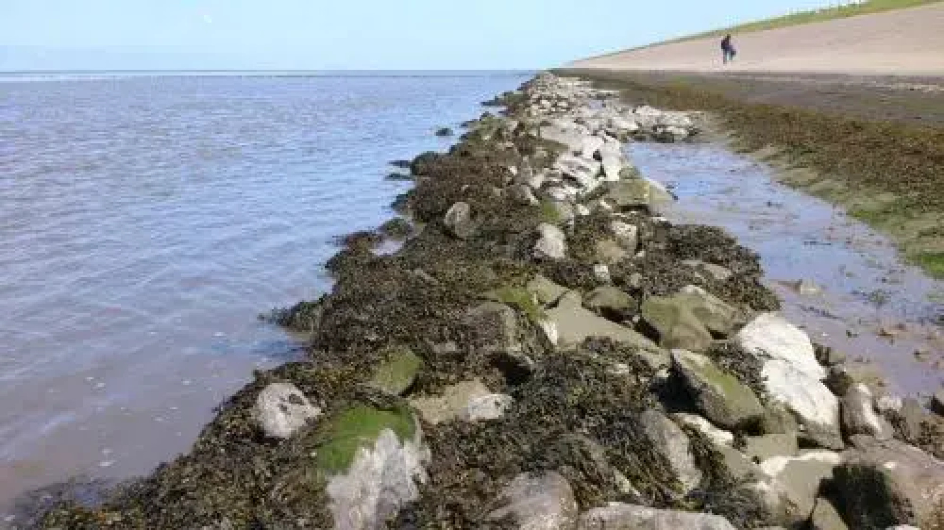 Sea La Vie