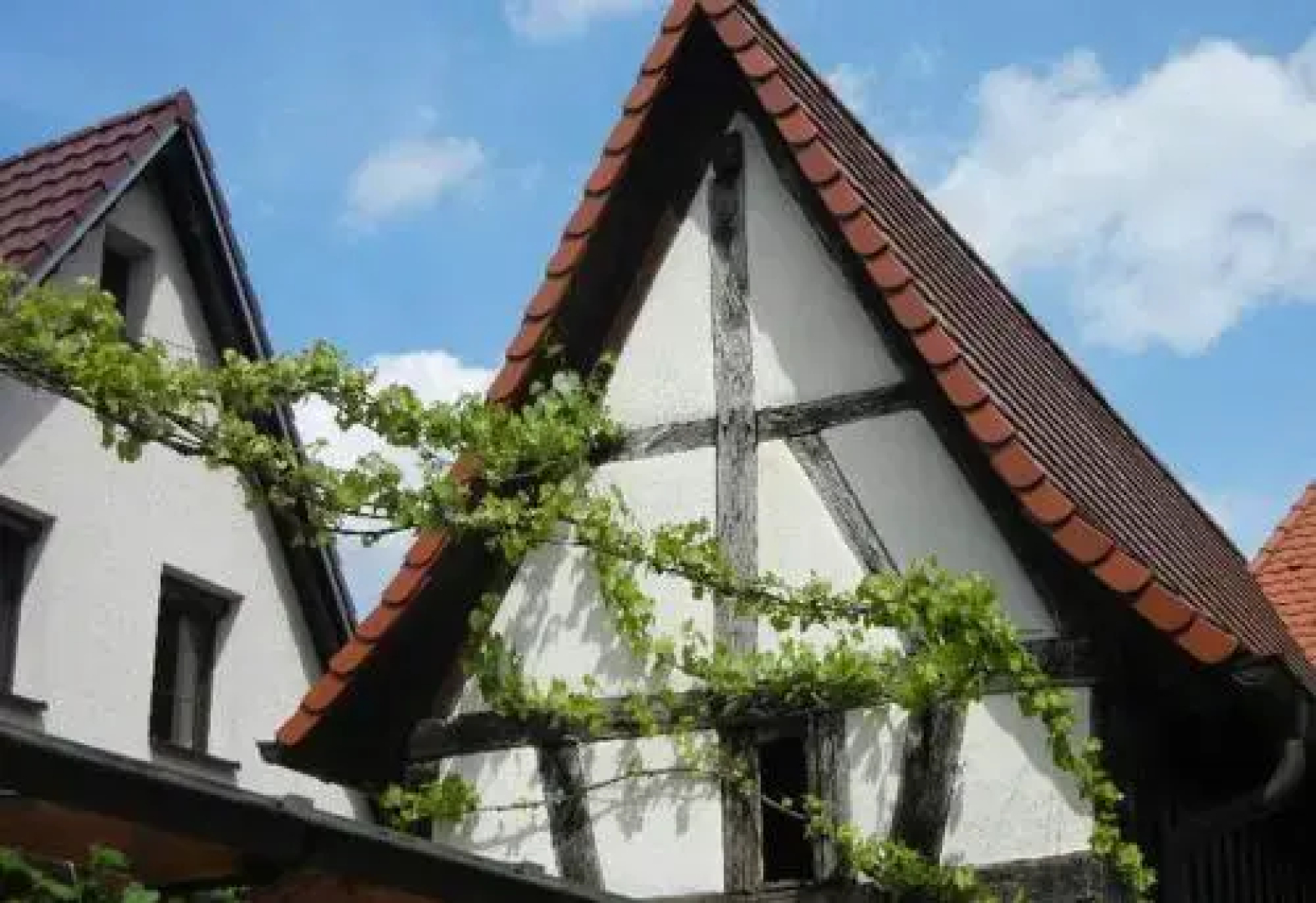 Haus Angelika