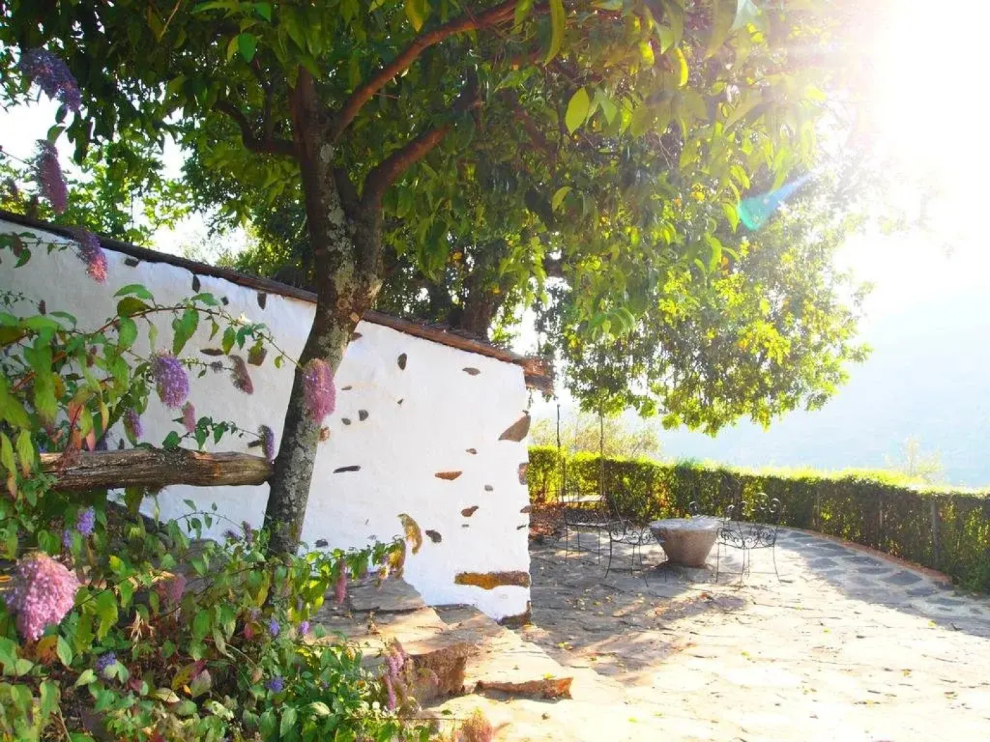 Finca El Molino De Aceite
