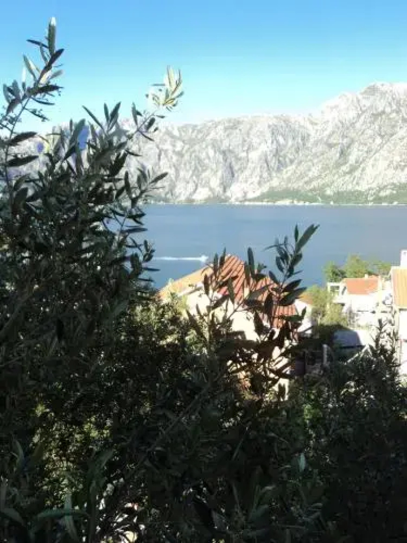 Guest House Pajovic