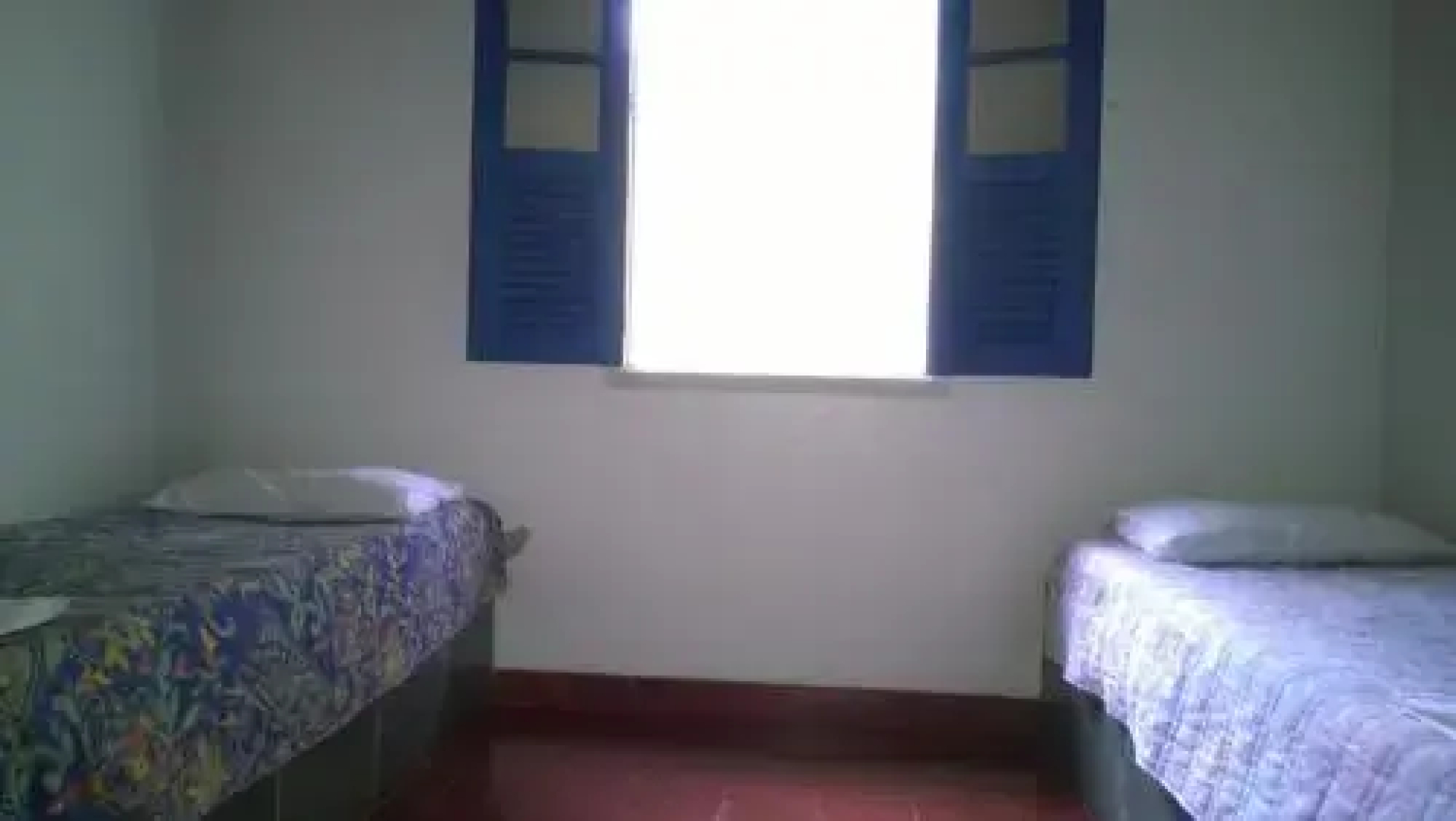 Jardim das Paineiras