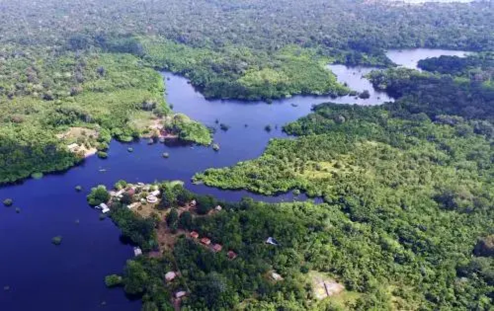 Amazon Turtle Lodge