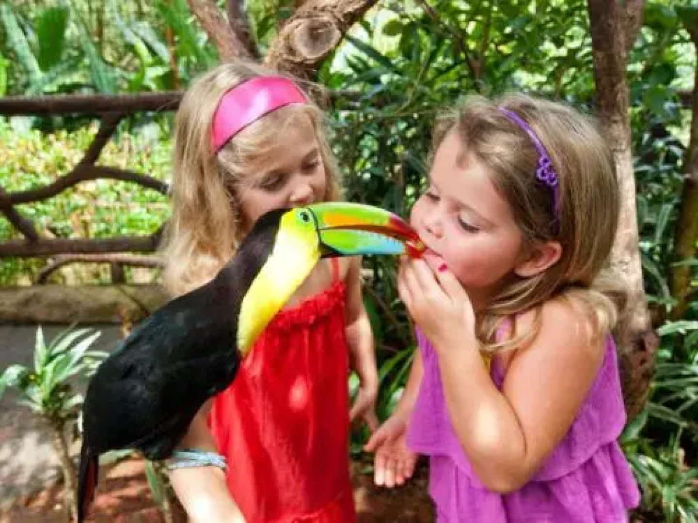 The Peace Lodge At La Paz Waterfall Gardens