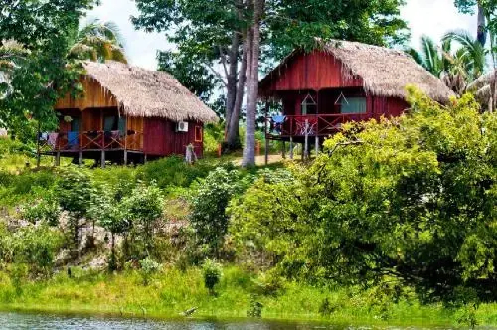 Amazon Turtle Lodge