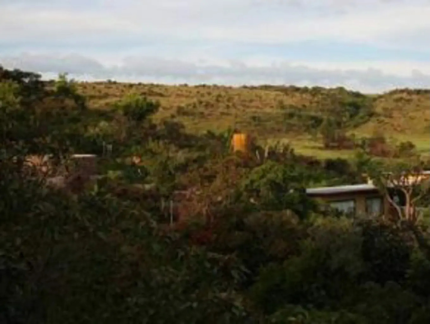 Bateleur Nature Reserve and Self Catering Game Lodge