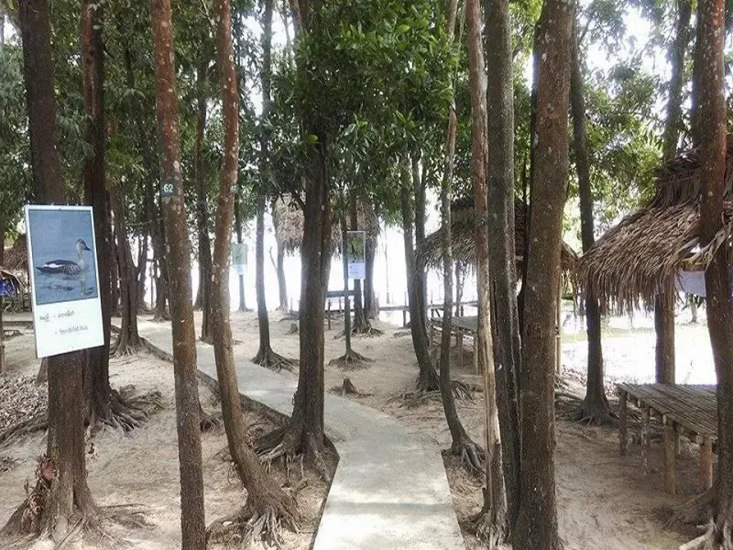 Moe Yun Gyi Wildlife Sanctuary & Wetlands Resort