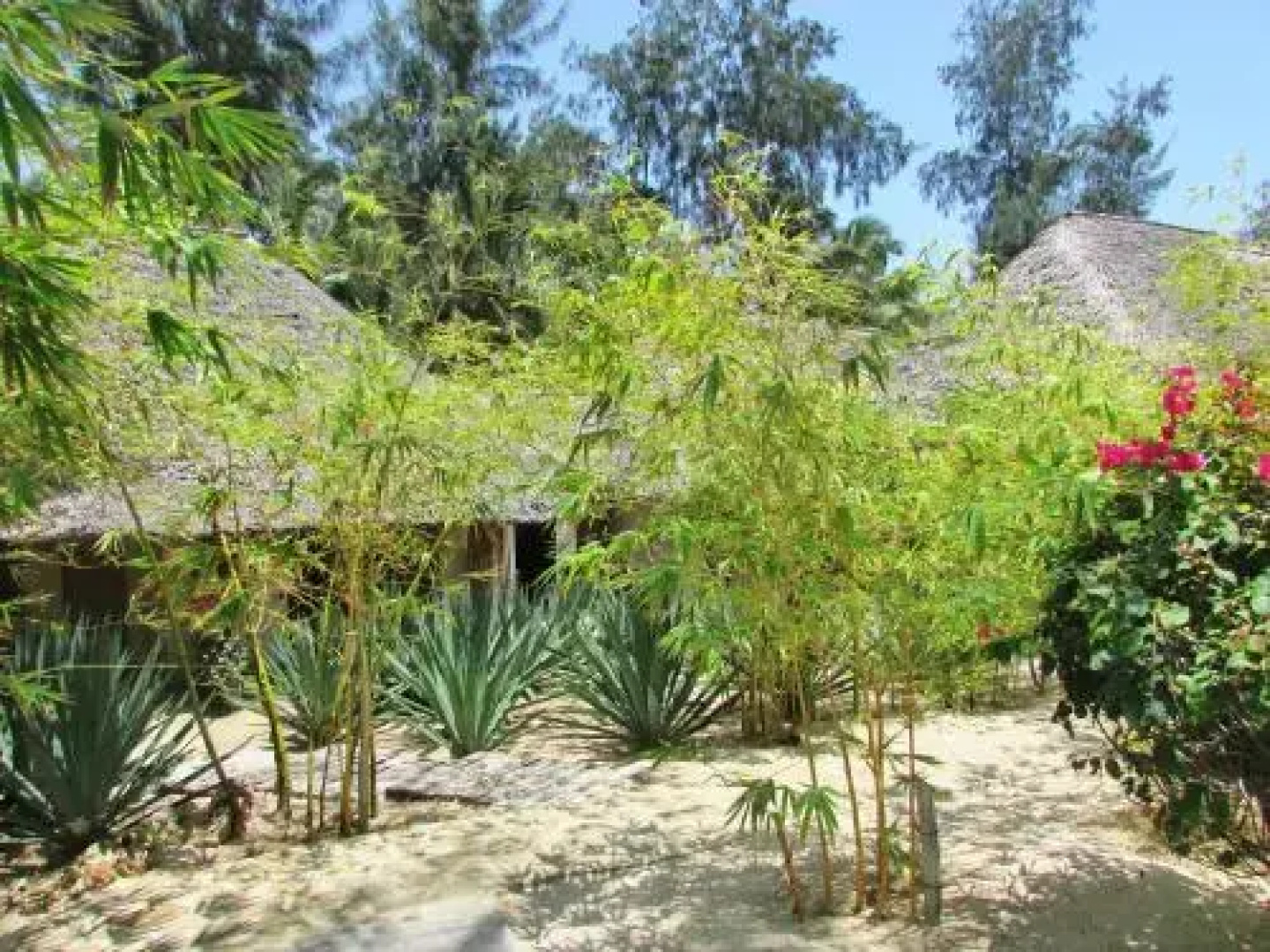 Mawimbi Lodge