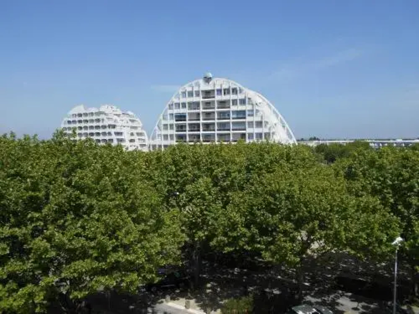 Vittoria Immobilier - Coquillage