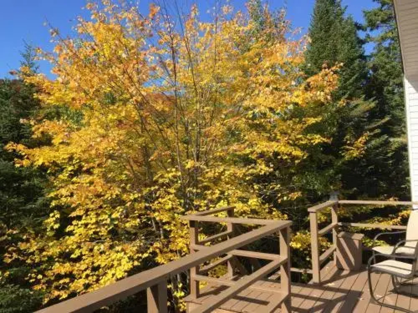 Lodge Nature Laurentides