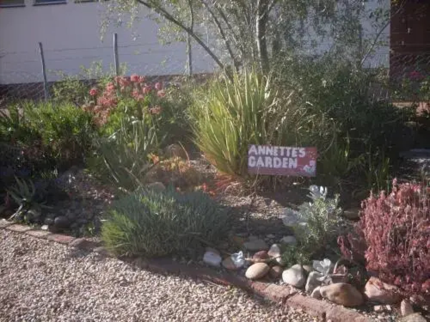 Anna Sophia Cottages