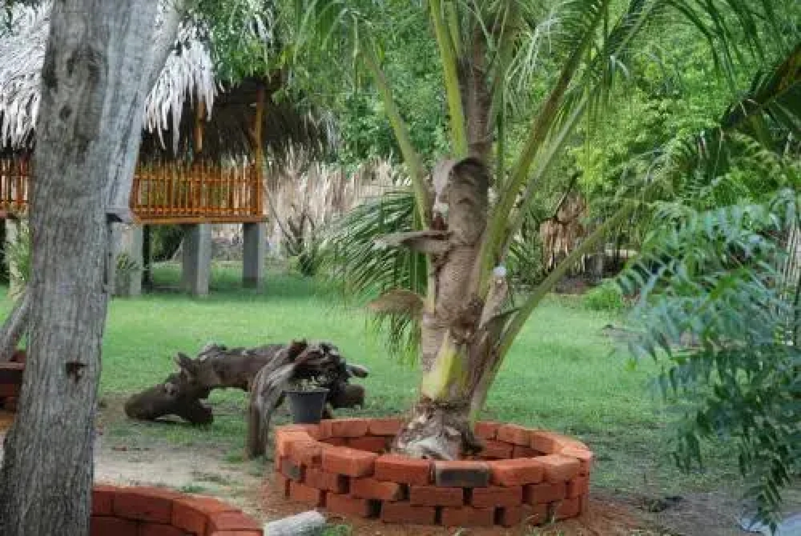Camenra Resort
