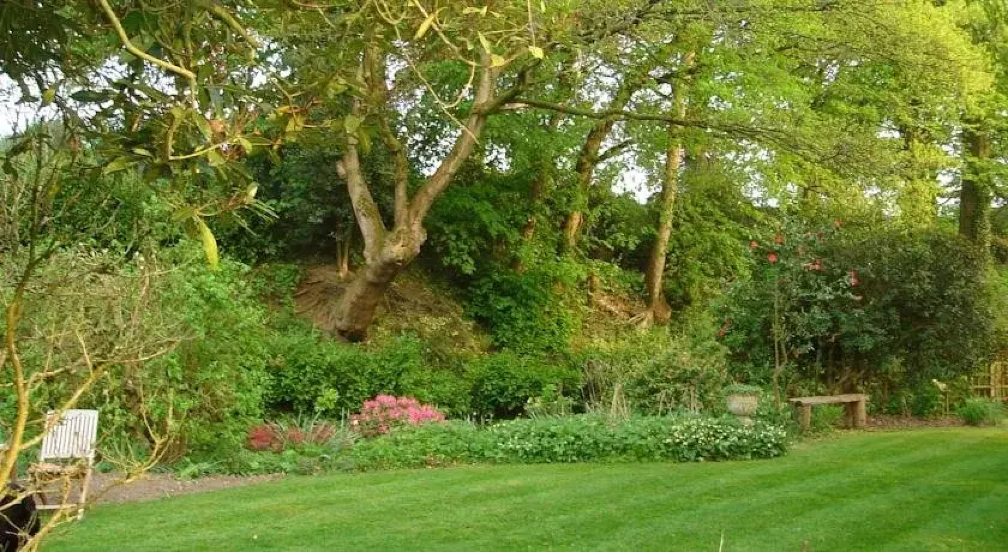 The Oaks