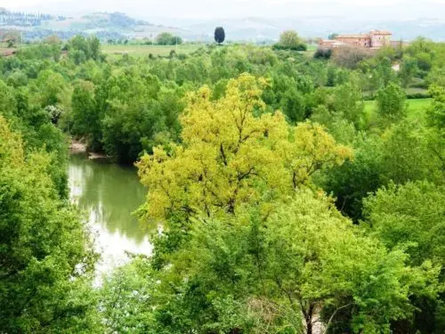 Podere Santo Stefano