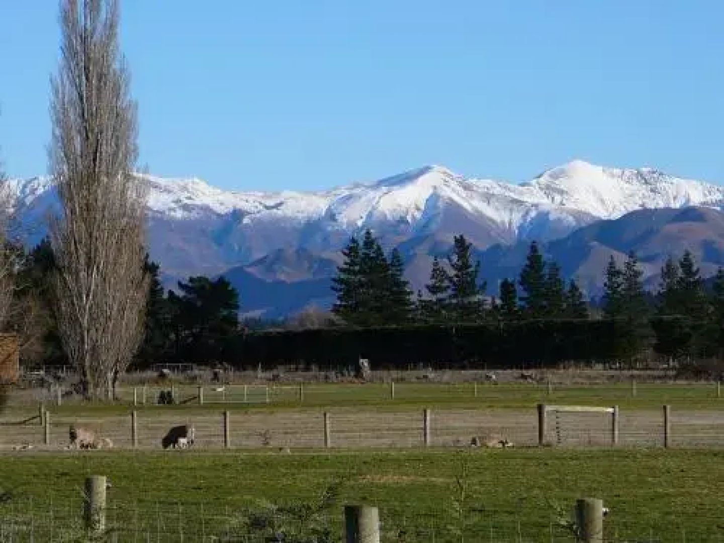 The Dutch Station Apartment