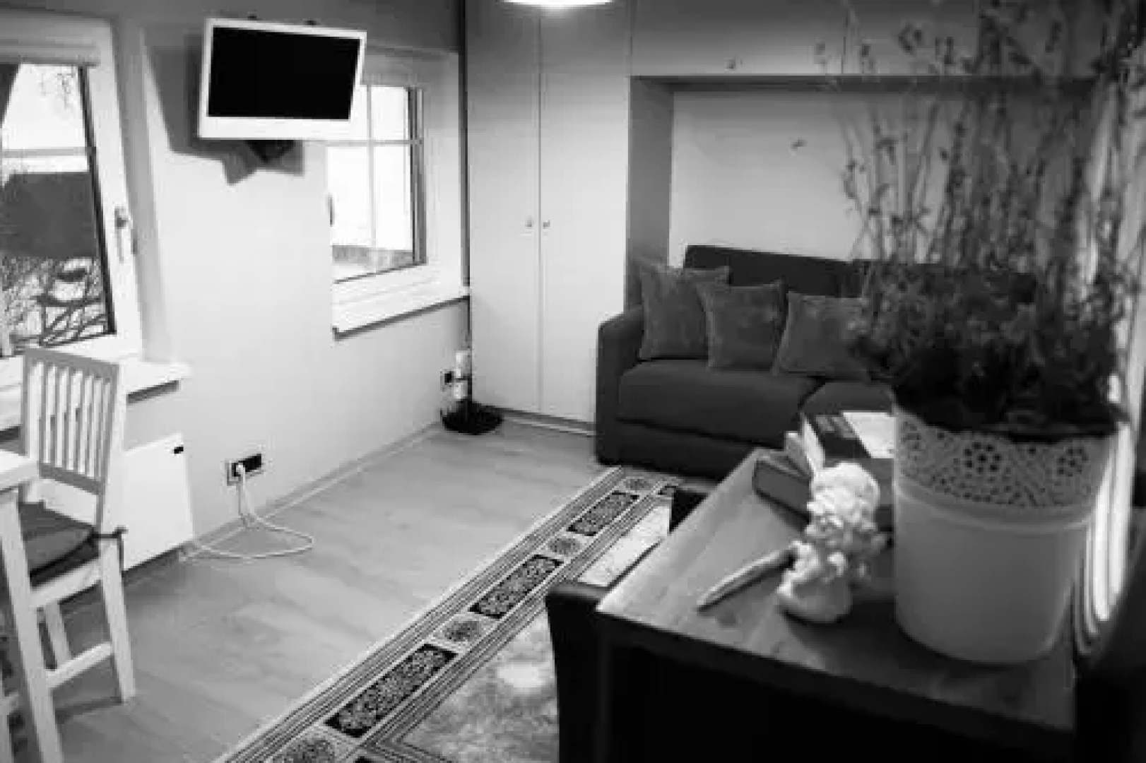 Skruzdynės Apartamentai