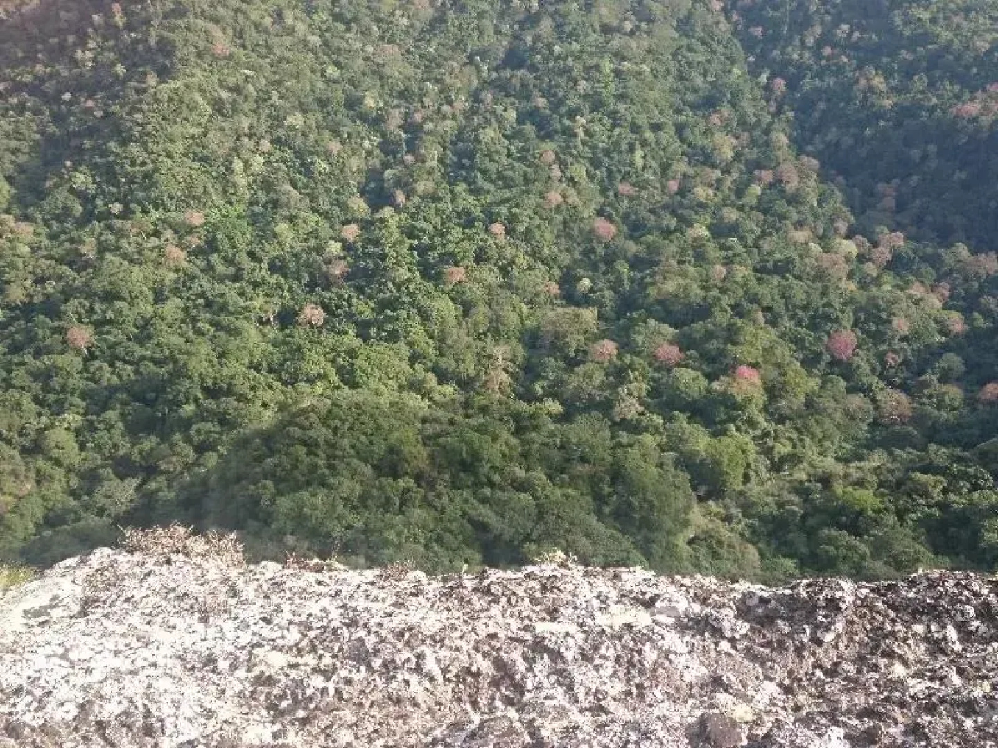 Mt Batimalu Lodge