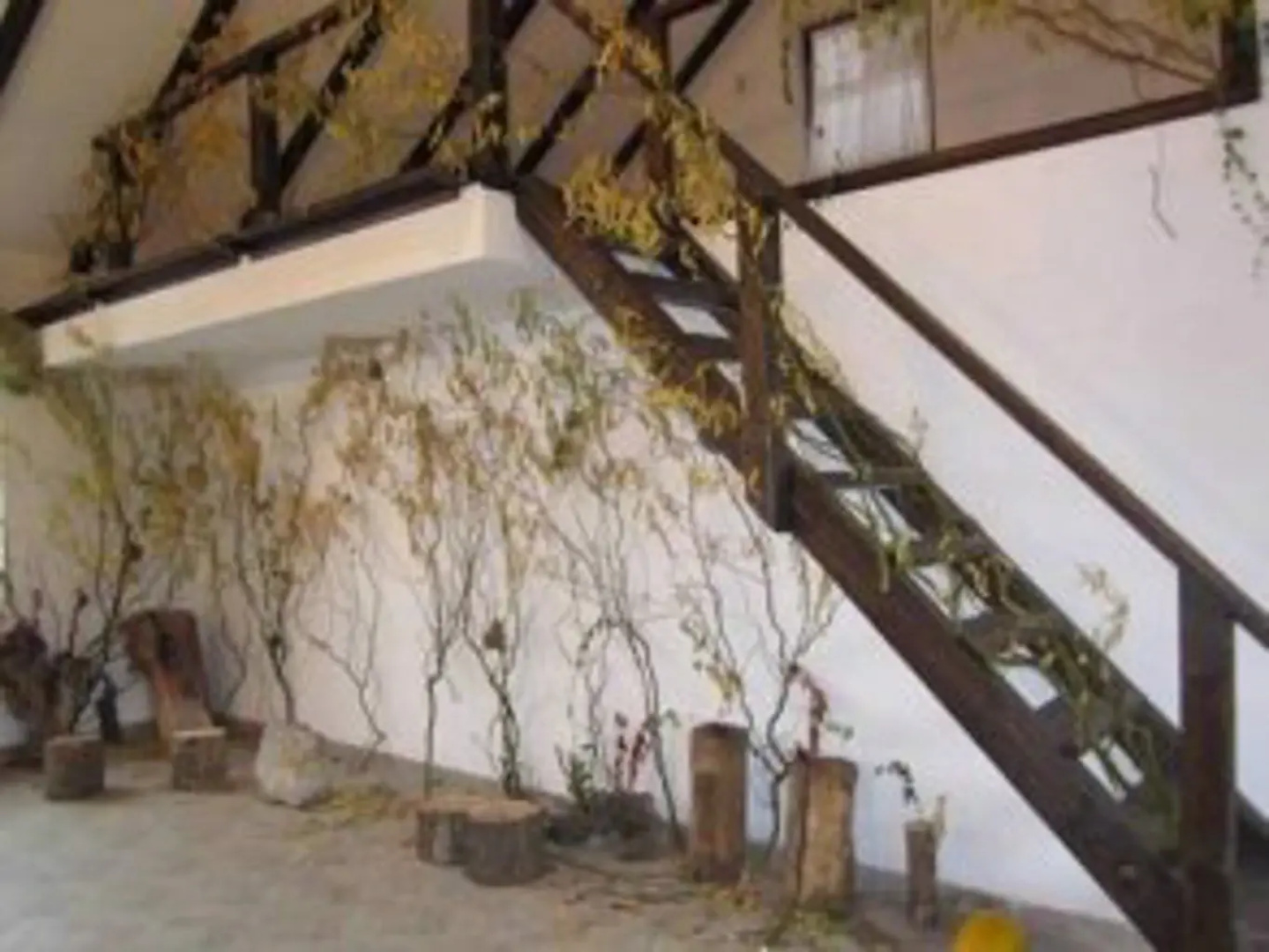 Guest House Albedo