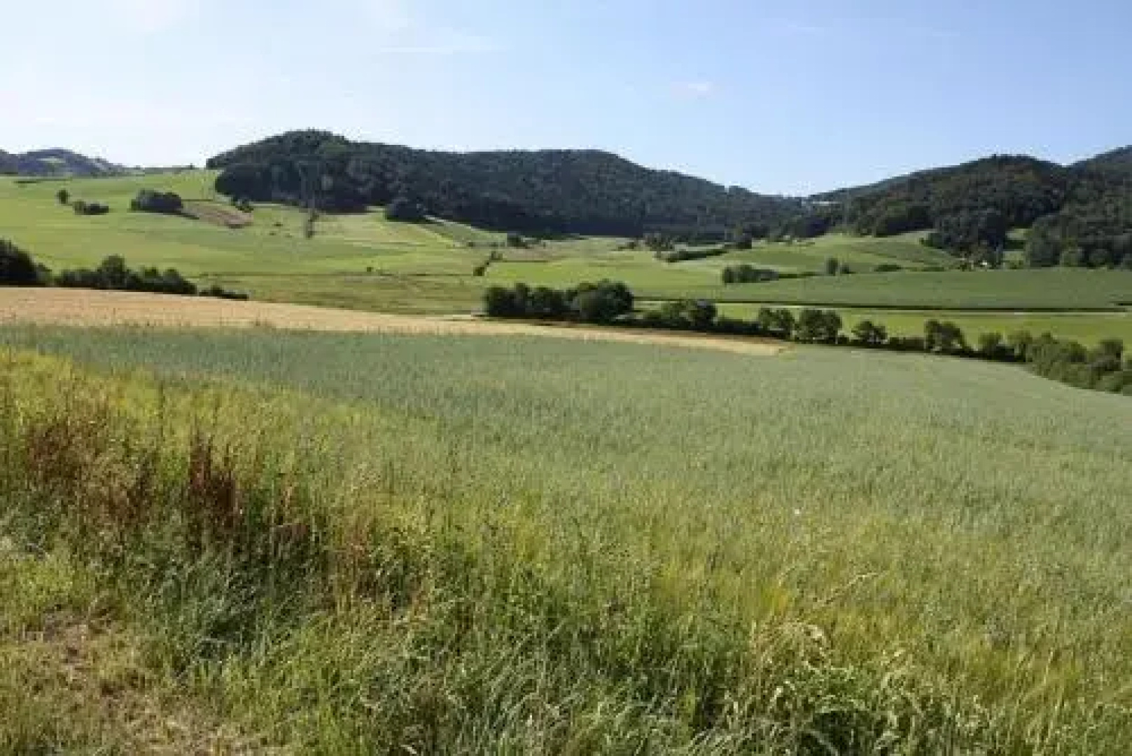 Ferienhaus Natur