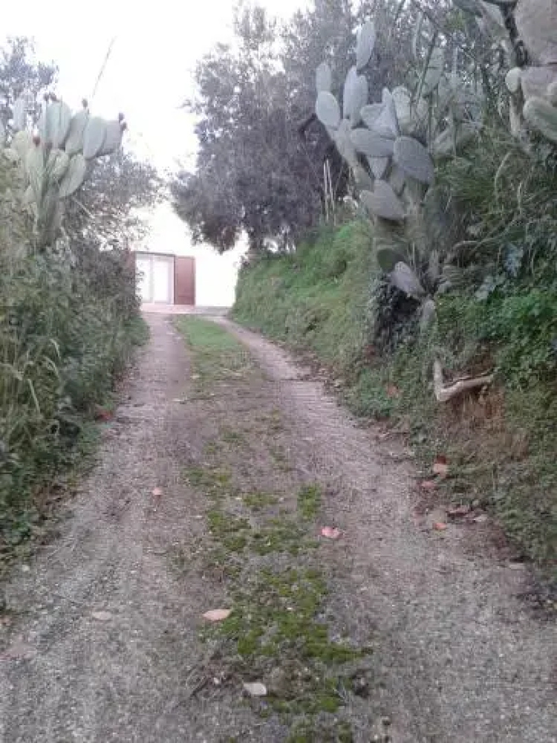 Casa Marzuco