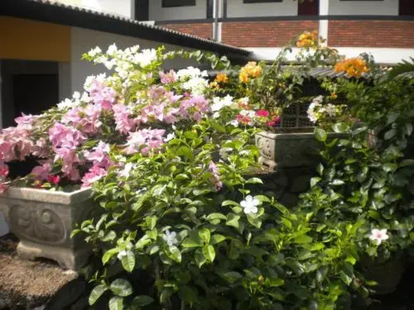 A-Prima Hotel
