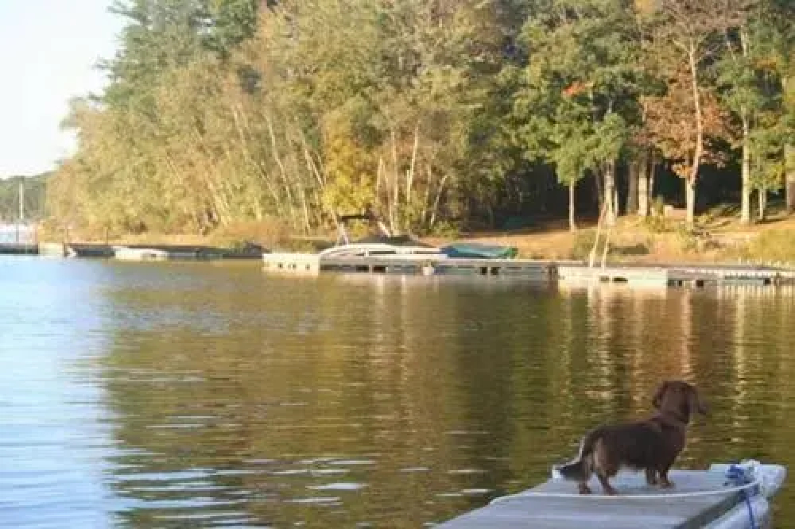 Lakeside Country Cottages