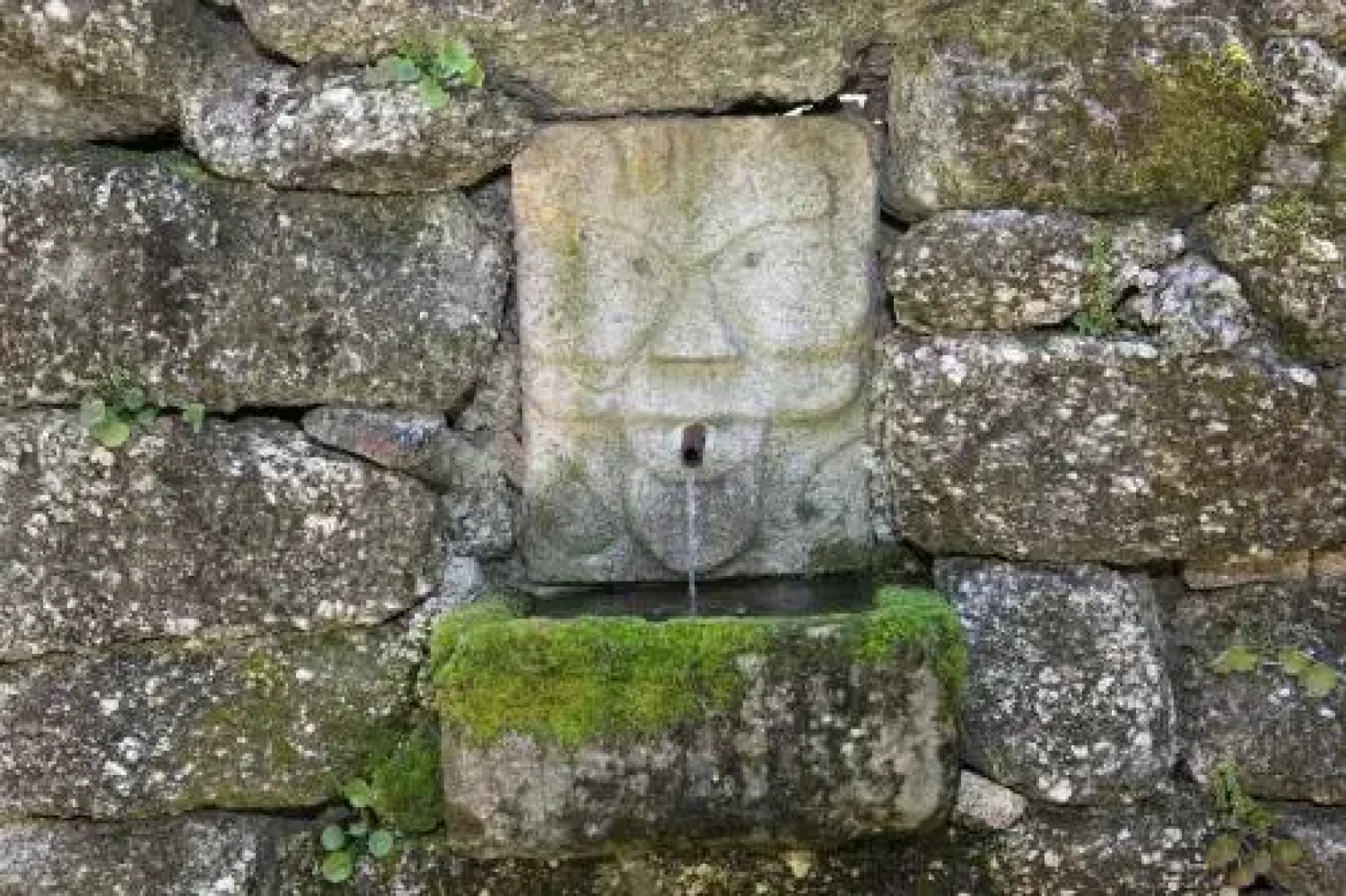 Quinta da Bouça