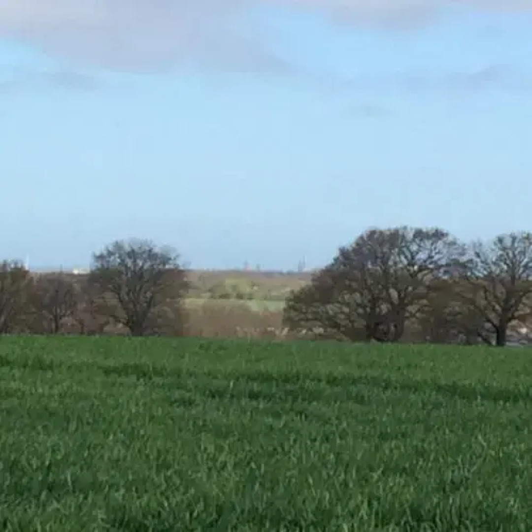 Urlaub bei Charly - App. Paradies