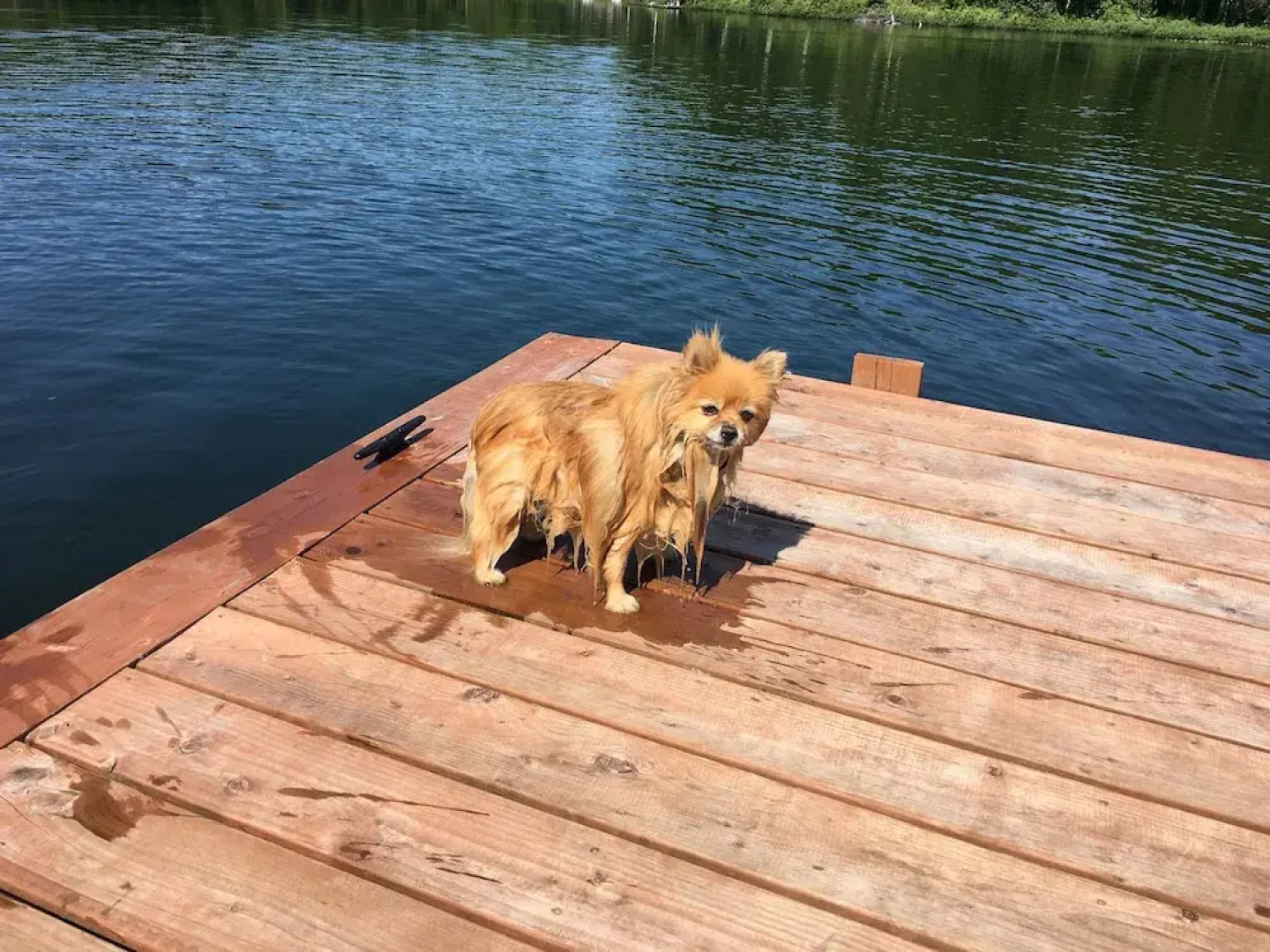 Alaska's Heritage Lodge