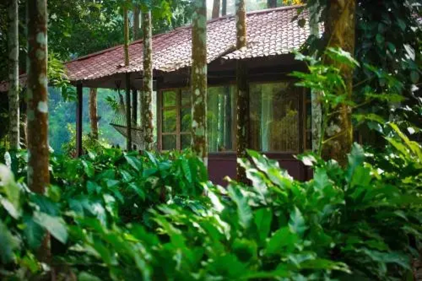 Shanthi Kunnj Homestay