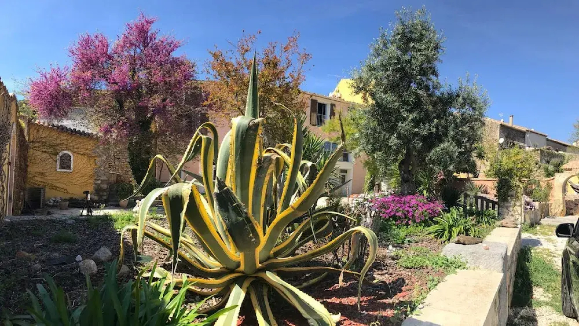 Résidence Jardin de Palme