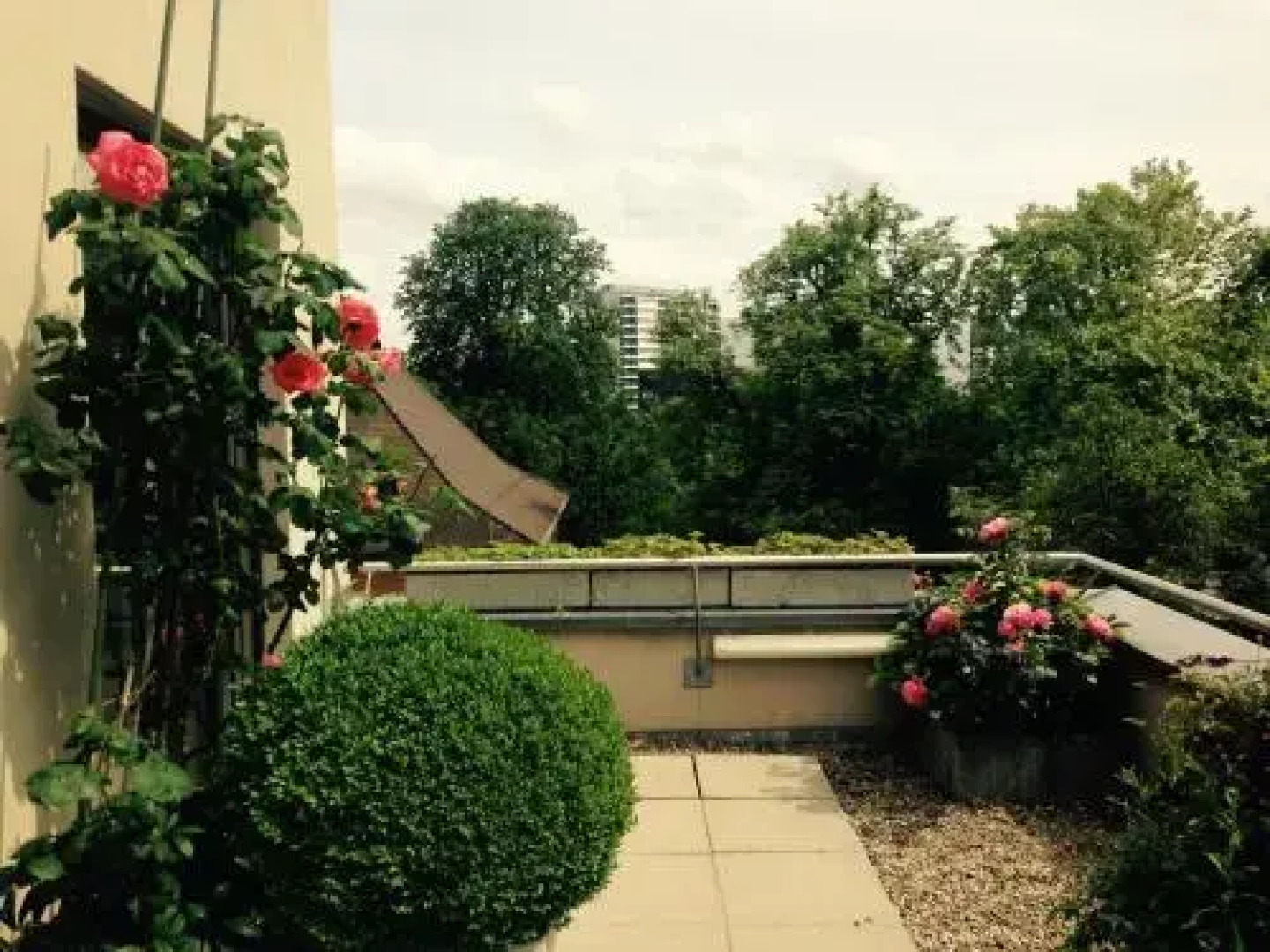AVLiving City Flat Basel with Roof Garden