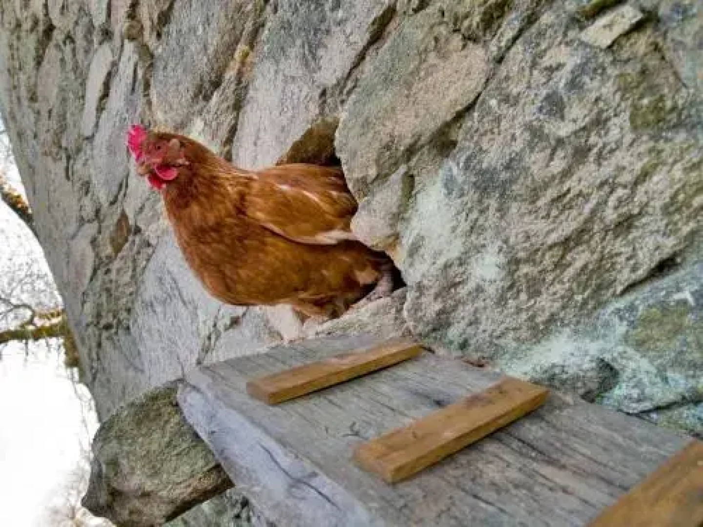 Arqueixal Ecoagroturismo