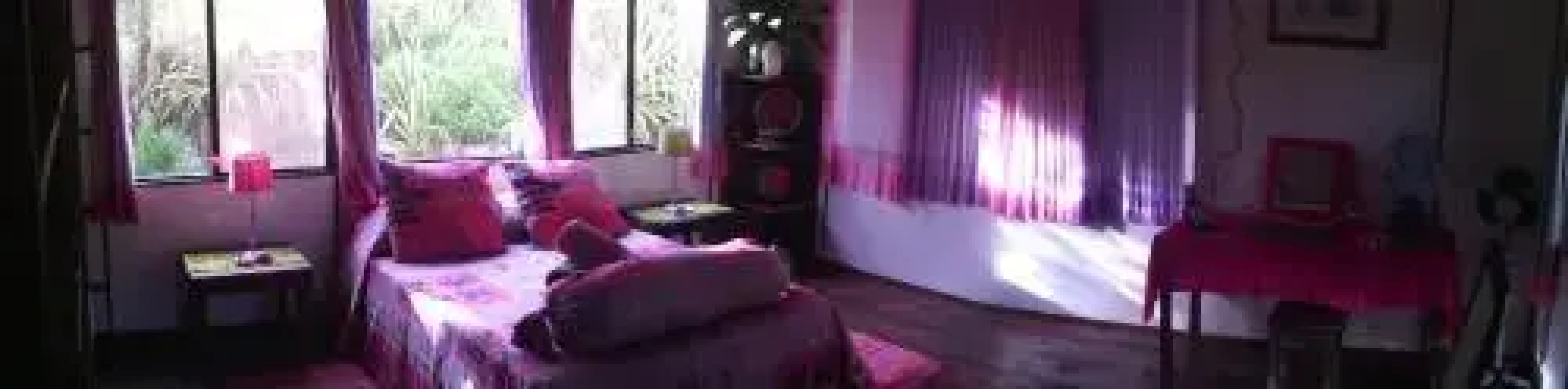 Bee  Bee Wild Island - Nature Song