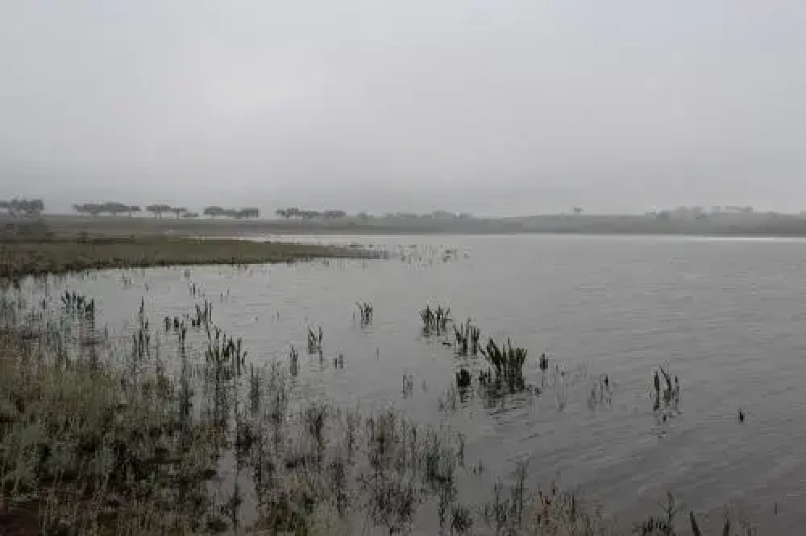 Casa do Roxo - Eco Design Country House