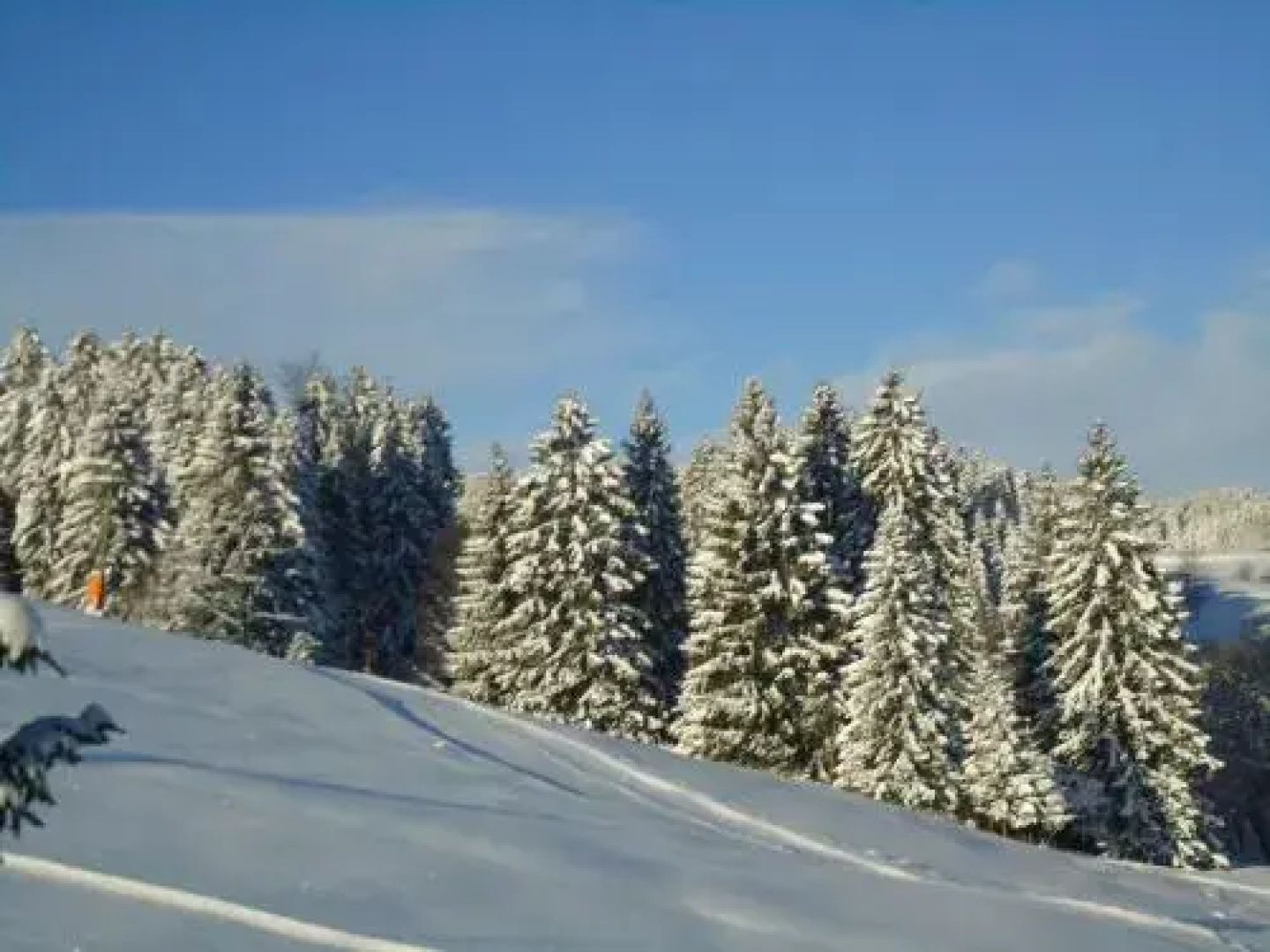 Haus Winterberg