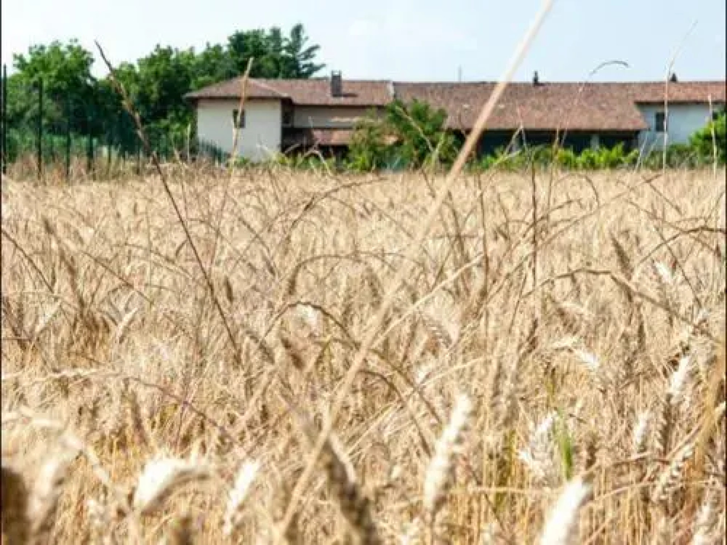 B&b Antica Dimora Quarello