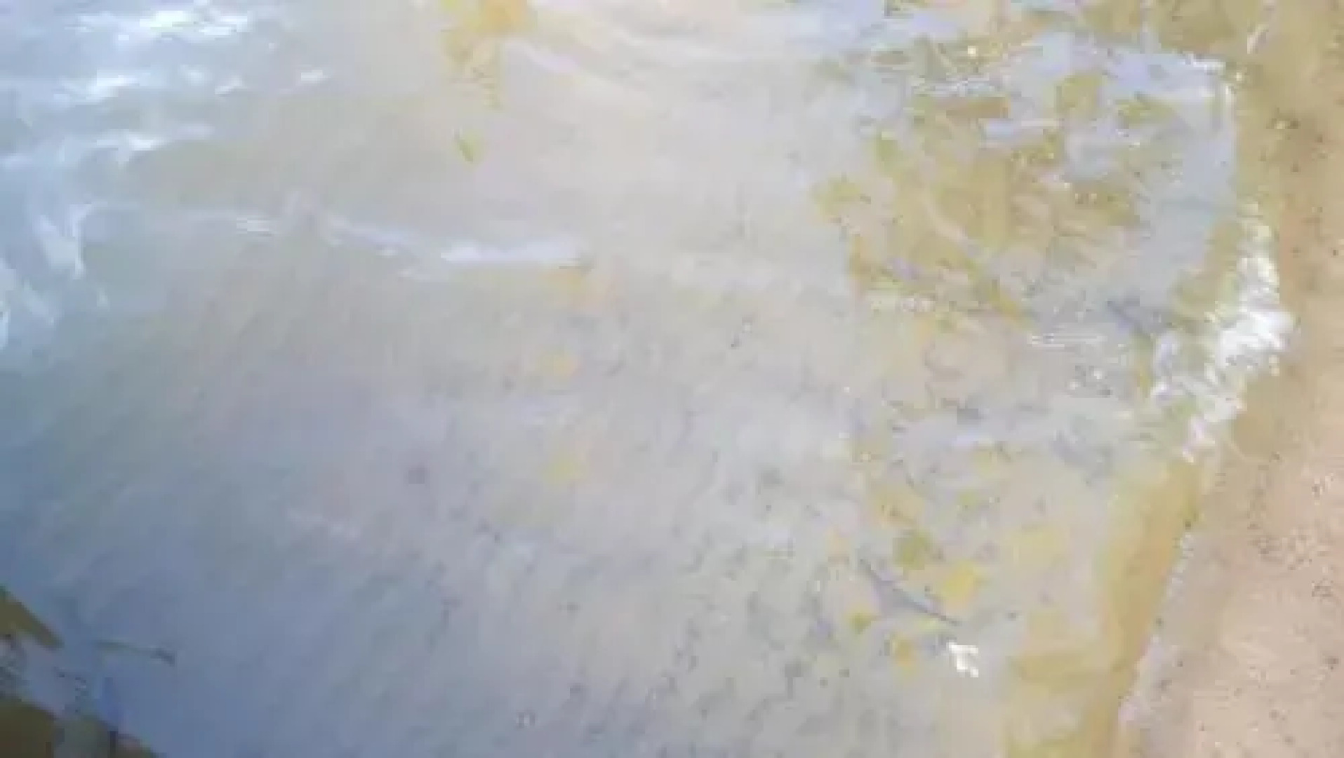 Cedar Lodge - 3 Br Cottage