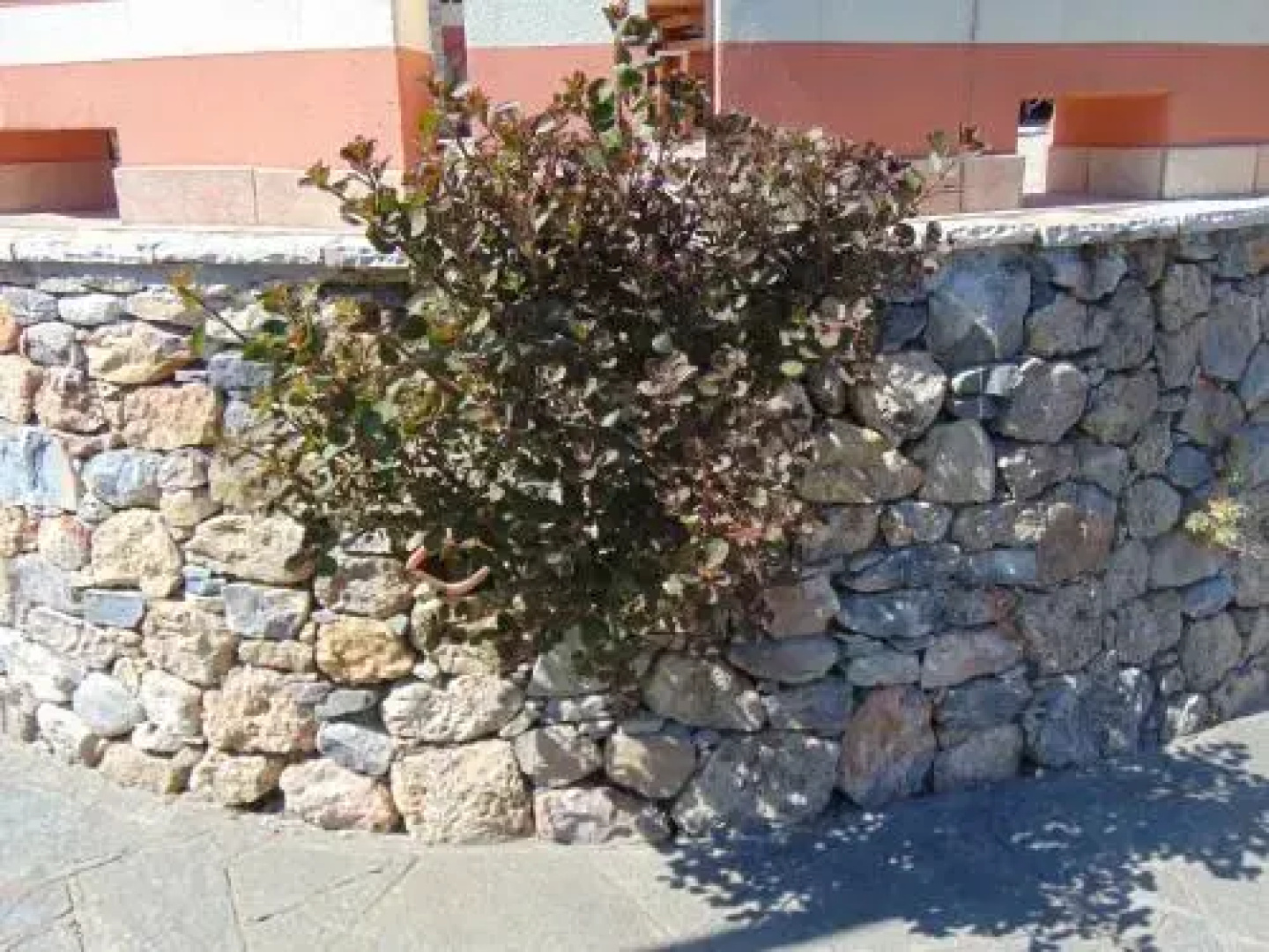 Il Cappero