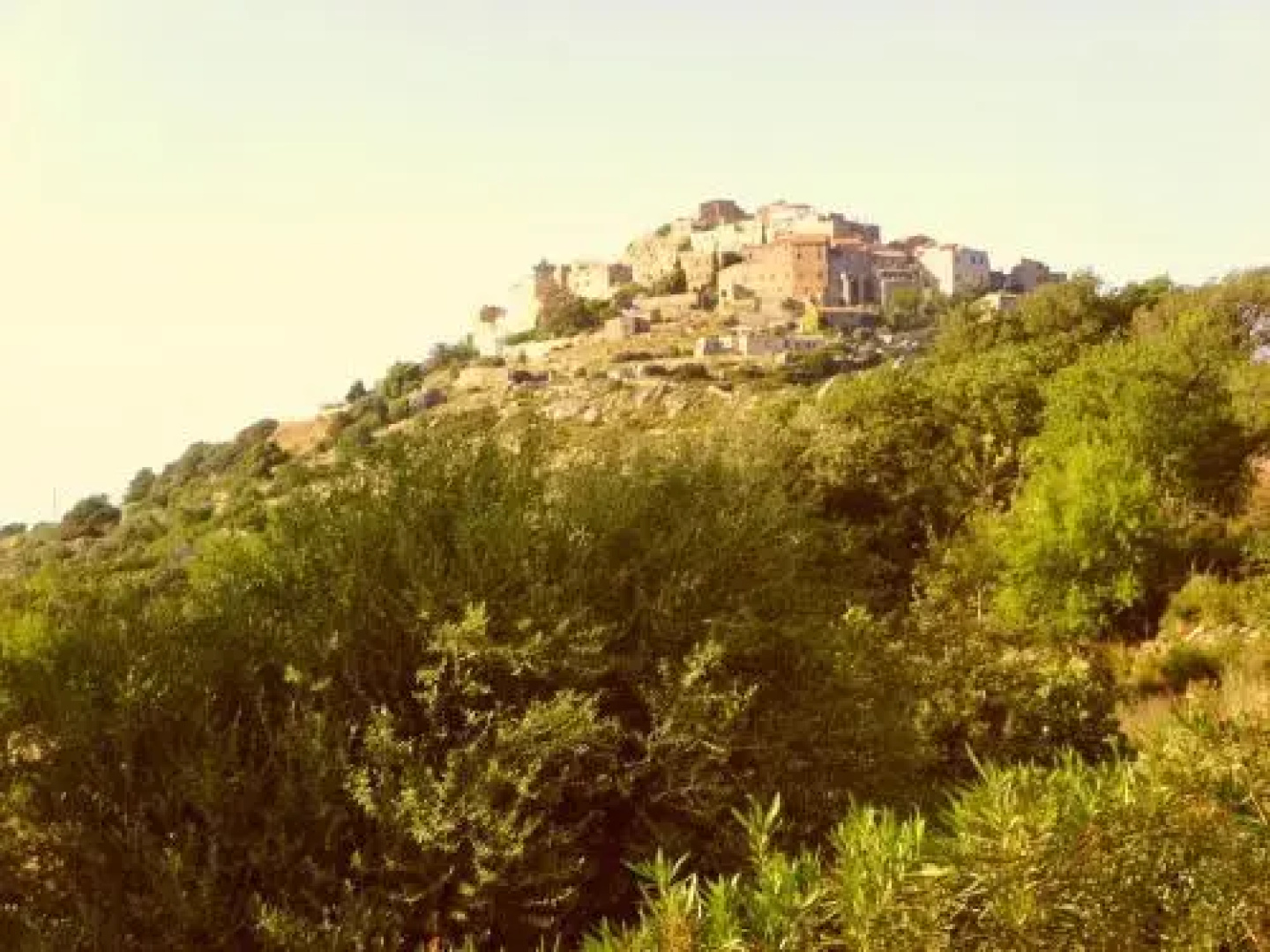 Domaine Victoria