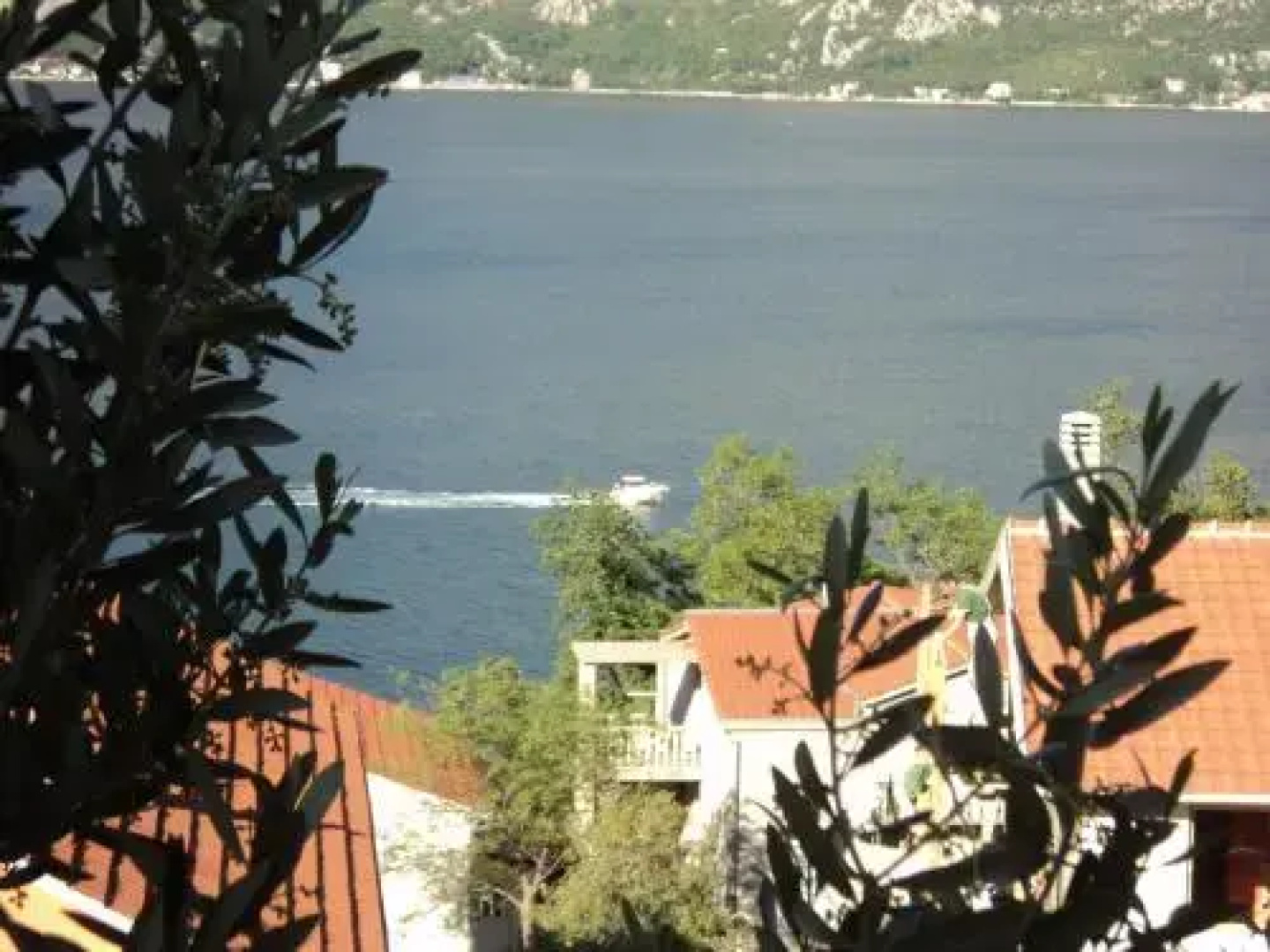 Guest House Pajovic