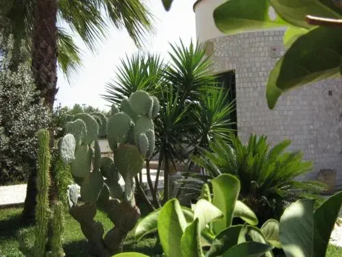 B&B Plathea