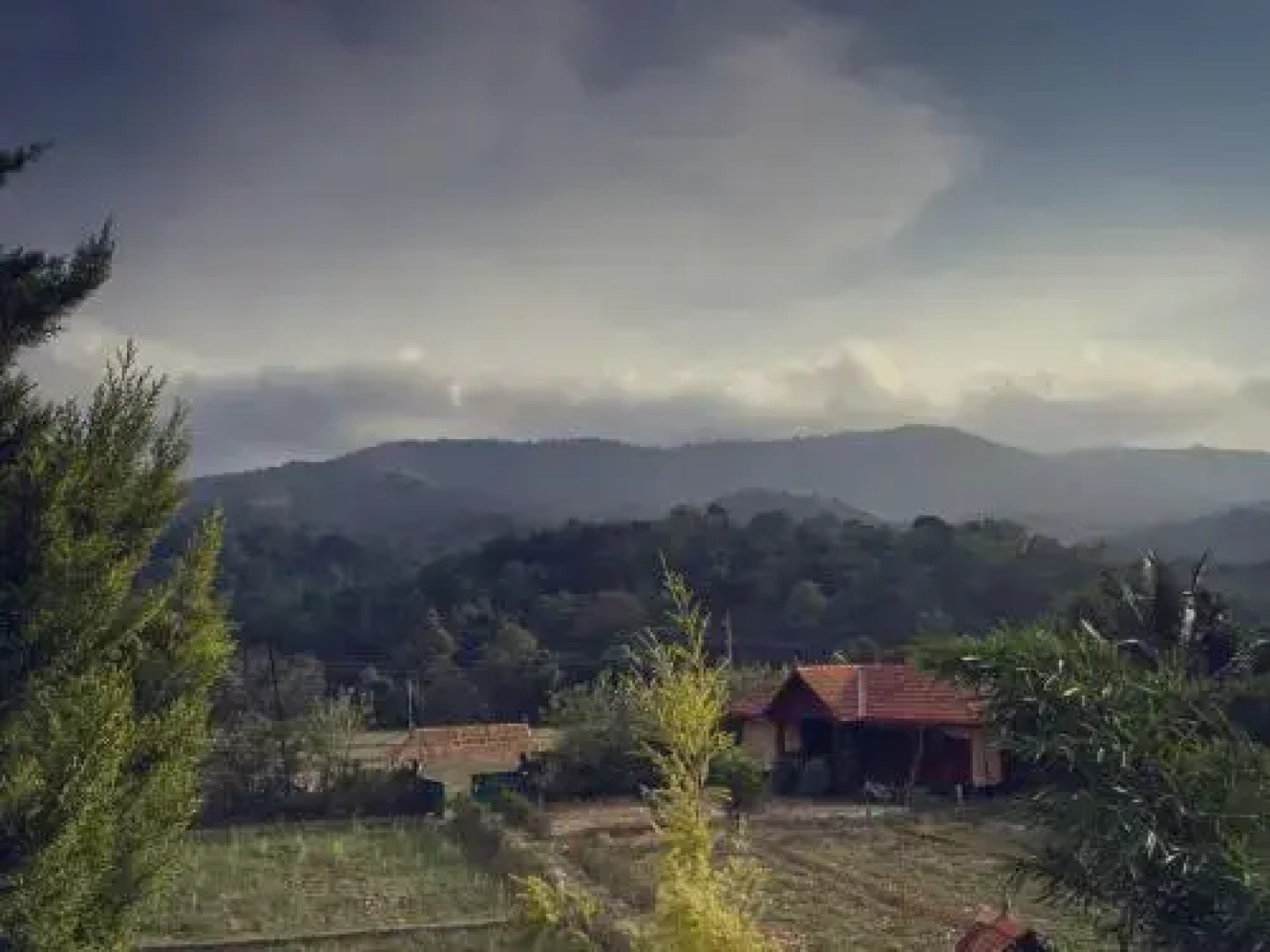 KTDC Tamarind Thirunelly