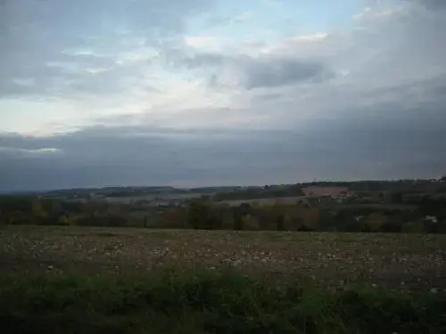 La Belle Etoile